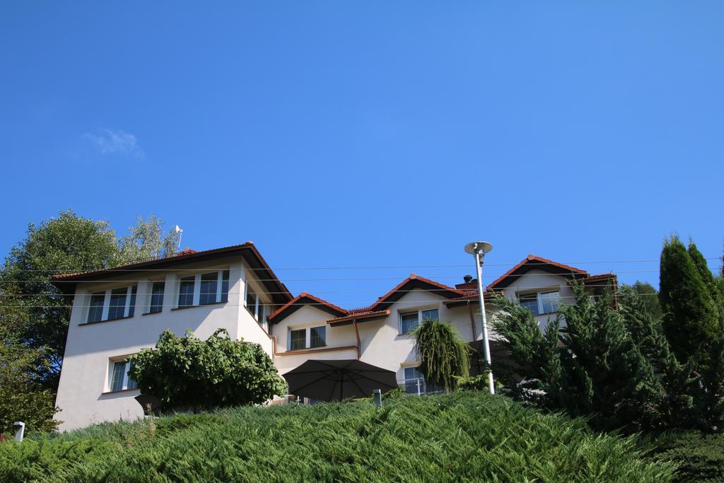 Hotel Willa Pod Skrzydlami Międzybrodzie Bialskie Exterior foto