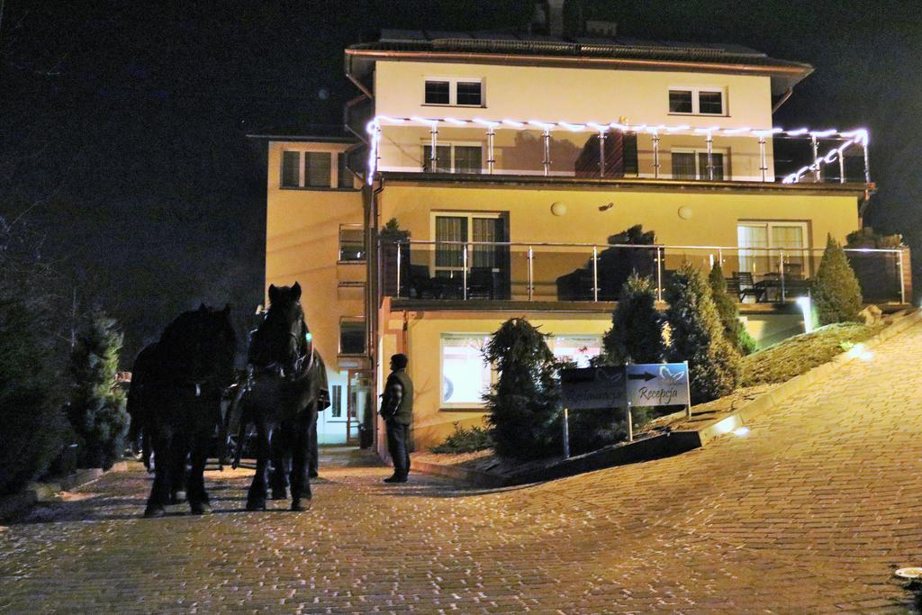 Hotel Willa Pod Skrzydlami Międzybrodzie Bialskie Exterior foto